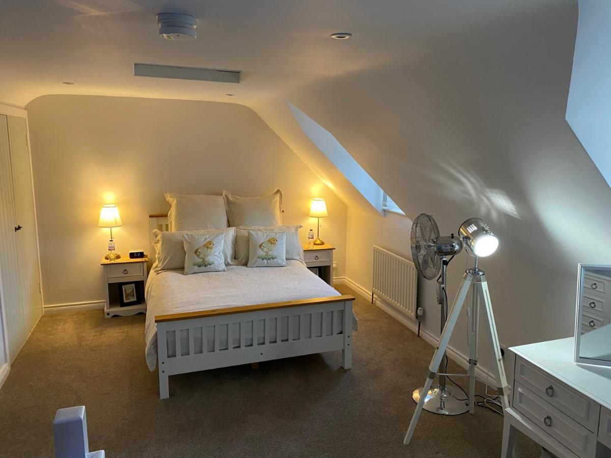 Arthur Street Guest Cottage 힐스버러 외부 사진