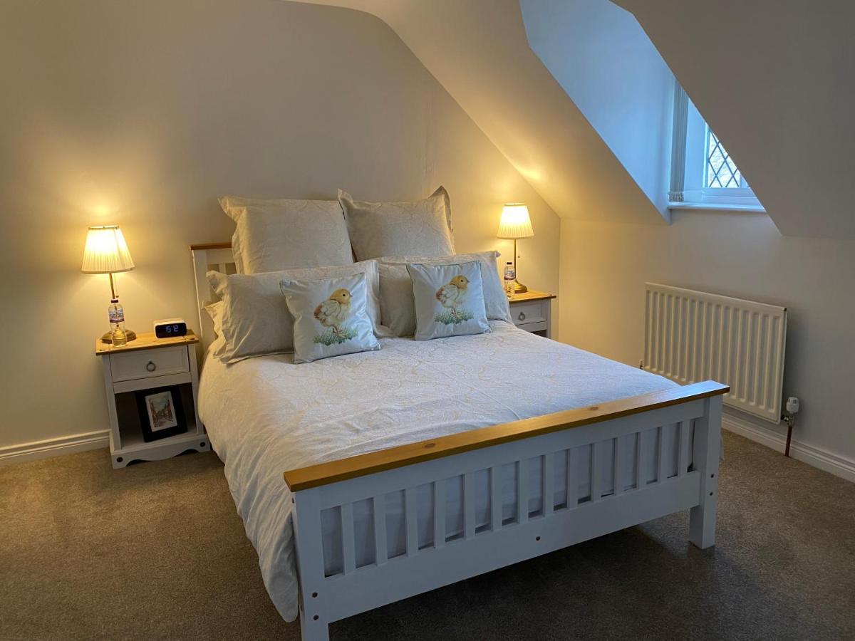 Arthur Street Guest Cottage 힐스버러 외부 사진